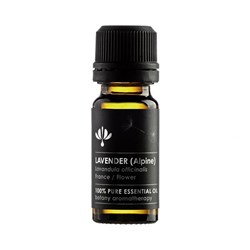 Lavender Alpine Oil